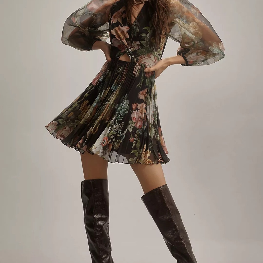 Pankaj & Nidhi Long-Sleeve V-Neck Cutout Mini Dress